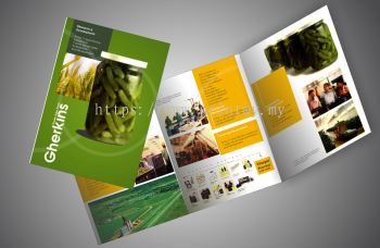 Brochure A4 x 3