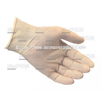 Powder Free Latex Gloves