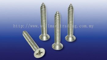 Stainless Steel Screws