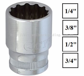 DR. Socket 12PT (METRIC)