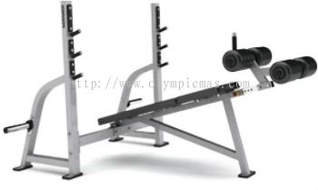 G1 – FW165 – Matrix Olympic Decline Weight Bench