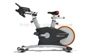 Magnetic Indoor Group Cycle PS450