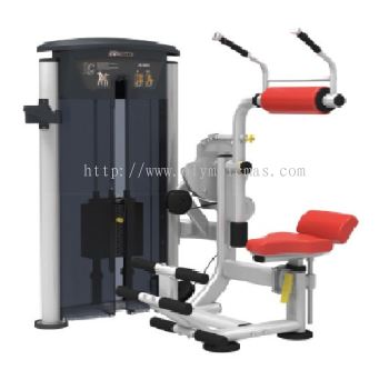 IT9534 Abdominal / Back Extension 