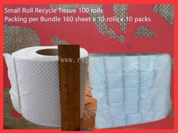 Small roll toilet tissue (Recycle) 160pcs/60g (100 rolls x2bd)