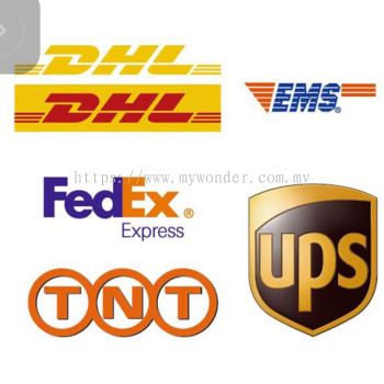 International Courier Package