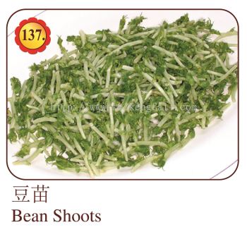 Bean Shoots