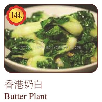 Butter Plant