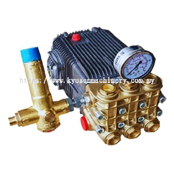 XWL42.10N High Pressure Cleaner Bare Pump