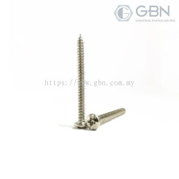 Pan Philips Self Tapping Din 7981