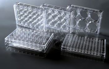 Cell Culture Plate