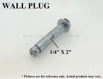 WALL PLUG 1/4" X 2"