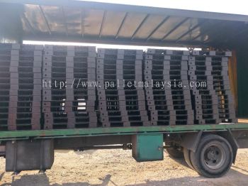 Cargo Plastic Pallet