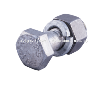 Galvanized Screw & Bolt