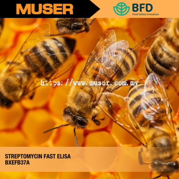 Streptomycin FAST ELISA | Biorex Food Diagnostics by Muser