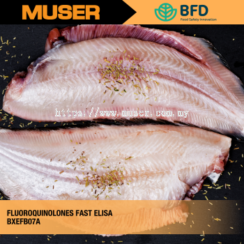 Fluoroquinolones FAST ELISA | Biorex Food Diagnostics by Muser