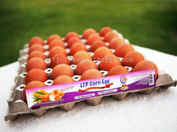 LTP Corn Egg - Grade E
