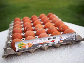 LTP First Born Egg - Grade F