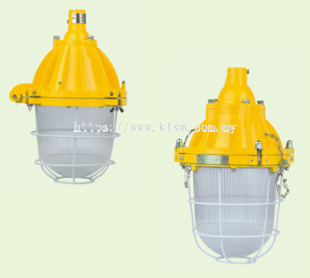 WAROM BAD SERIES EXPLOSION-PROOF LIGHT FITTINGS