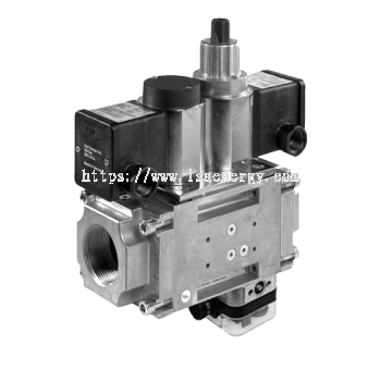 DMV/624L NEMA 4 & POC - Dual Safety Shutoff Valves with Proof of Closure and NEMA 4x Enclosure (USA/