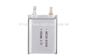 EEMB LP702030 Li-ion Polymer Battery