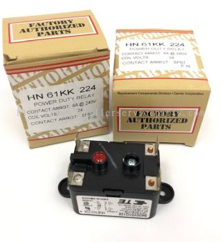 HN61KK224 Power Relay 8A/240V