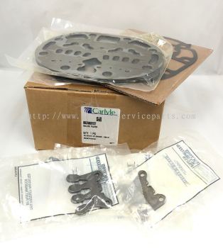 06EA660137 Valve Plate Package