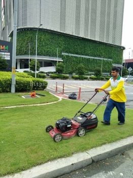 Mowing Grass