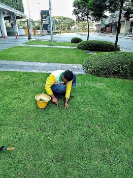 Landscape Maintenance 