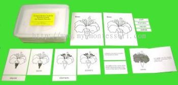 NEW! - Nomenclature and Activity Cards for Nature Puzzles (CM142)
