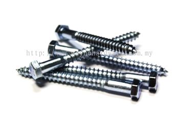 Supply Hex Lag Bolt (Z/P)