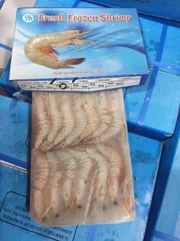 White Shrimp 