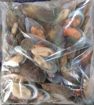 New Zealand Half Shell Mussel