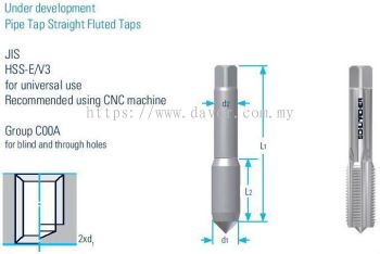 Straight Fluted Tap - NPT