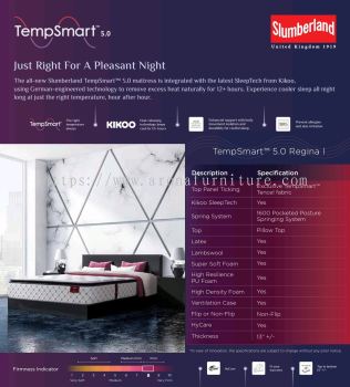 Tempsmart 5.0 Regina 1