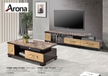 COFFEE TABLE & TV CABINET