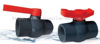 IONE PVC Ball Valve (Thread)