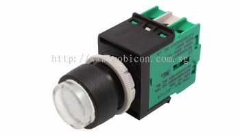 ECS-P4 Extended Type Momentary Pushbutton Switch