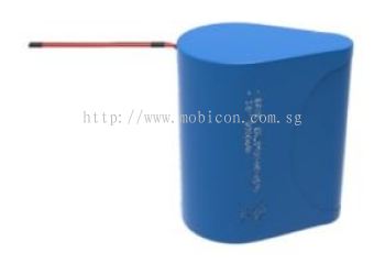 EEMB ER26500+HR14505 Battery with Hybrid Design