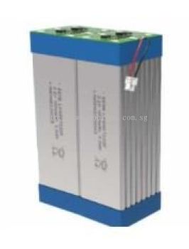 EEMB LP8867220F-20P20S LifePO4 Battery Cell