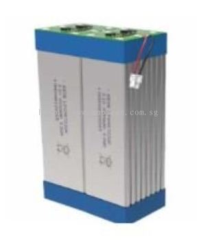 EEMB LP8867220F-2P4S LifePO4 Battery Cell