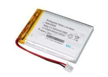 EEMB LP552030 Li-ion Polymer Battery