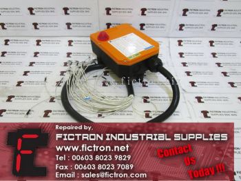 F24-12D F2412D TELECRANE Industrial Crane Remote Control Repair Malaysia Singapore Indonesia USA Thailand