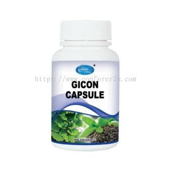 H025 GICON CAPSULE   H025 健腦寶