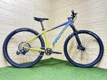 29" MTB 12s Alloy Raleigh RS