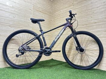 29" MTB 9s Alloy Raleigh Raptor