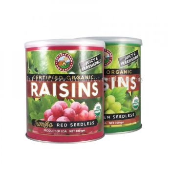 Twinpack Red & Green Organic Seedless Raisins (300gx2)