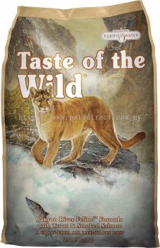 TOTW CANYON RIVER FELINE