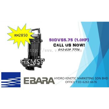 Ebara Pump
