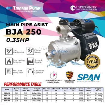 Tsunami BJA-250 (0.35HP) Home Automatic Water Pump Main Pipe Pressure Pump Pam Air