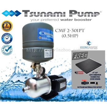 Tsunami CMF2-30IPT Home Booster Pressure Water Pump (Stainless Steel, 0.5HP)